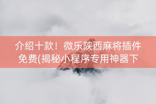 介绍十款！微乐陕西麻将插件免费(揭秘小程序专用神器下载)