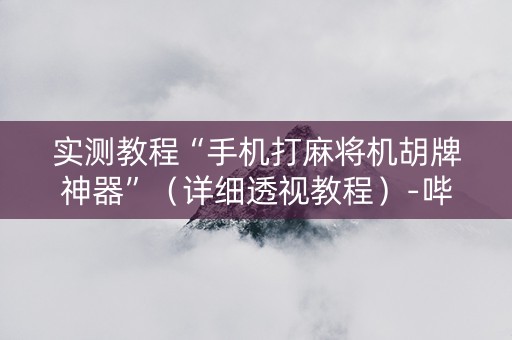 实测教程“手机打麻将机胡牌神器”（详细透视教程）-哔哩哔哩