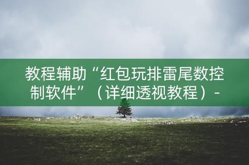 教程辅助“红包玩排雷尾数控制软件”（详细透视教程）-哔哩哔哩