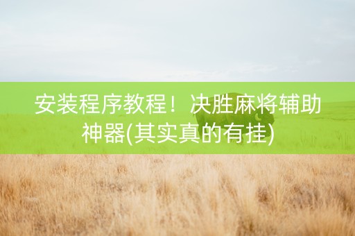 安装程序教程！决胜麻将辅助神器(其实真的有挂)