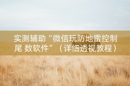 实测辅助“微信玩防地雷控制尾 数软件”（详细透视教程）-哔哩哔哩