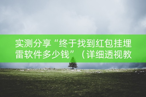 实测分享“终于找到红包挂埋雷软件多少钱”（详细透视教程）-哔哩哔哩