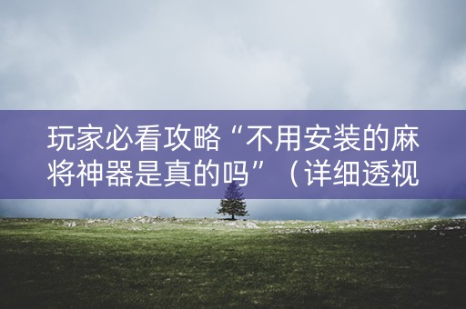 玩家必看攻略“不用安装的麻将神器是真的吗”（详细透视教程）-哔哩哔哩