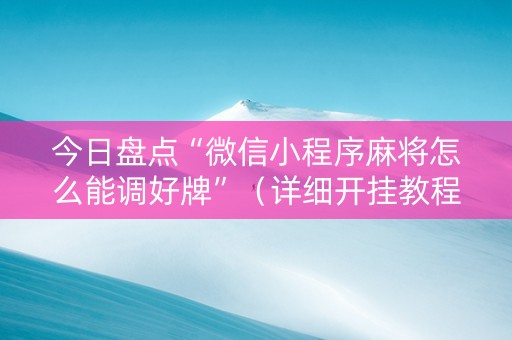 今日盘点“微信小程序麻将怎么能调好牌”（详细开挂教程）-哔哩哔哩