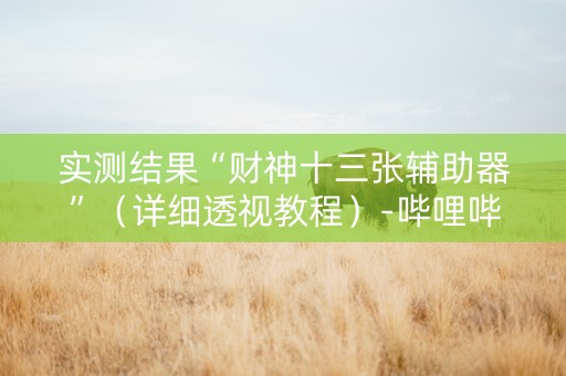 实测结果“财神十三张辅助器”（详细透视教程）-哔哩哔哩