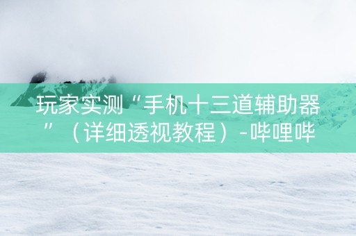 玩家实测“手机十三道辅助器”（详细透视教程）-哔哩哔哩