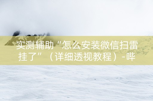 实测辅助“怎么安装微信扫雷挂了”（详细透视教程）-哔哩哔哩