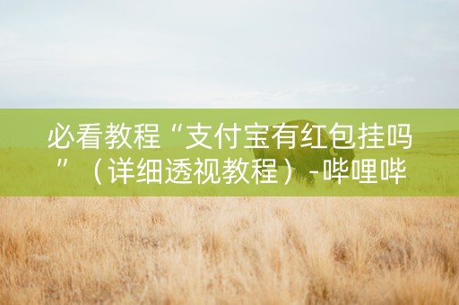 必看教程“支付宝有红包挂吗”（详细透视教程）-哔哩哔哩