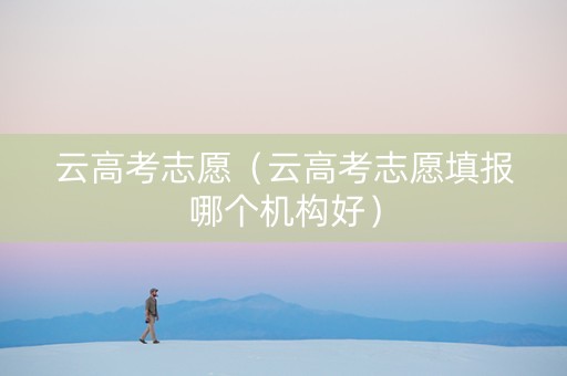 云高考志愿（云高考志愿填报哪个机构好）