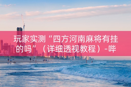 玩家实测“四方河南麻将有挂的吗”（详细透视教程）-哔哩哔哩