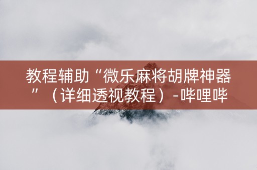 教程辅助“微乐麻将胡牌神器”（详细透视教程）-哔哩哔哩