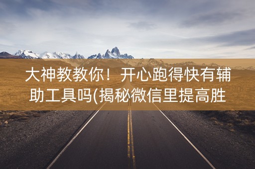 大神教教你！开心跑得快有辅助工具吗(揭秘微信里提高胜率)