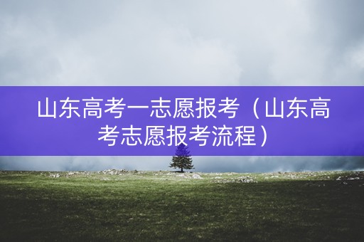 山东高考一志愿报考（山东高考志愿报考流程）