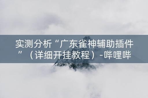 实测分析“广东雀神辅助插件”（详细开挂教程）-哔哩哔哩