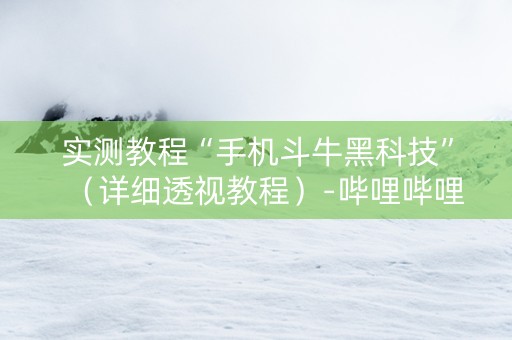 实测教程“手机斗牛黑科技”（详细透视教程）-哔哩哔哩