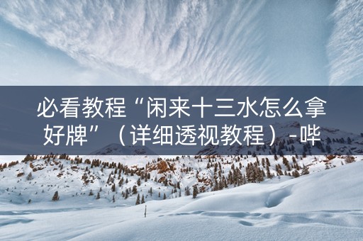 必看教程“闲来十三水怎么拿好牌”（详细透视教程）-哔哩哔哩