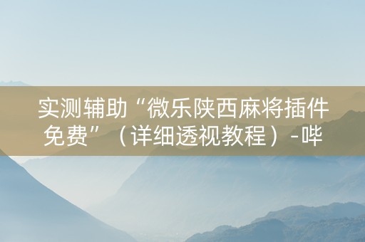 实测辅助“微乐陕西麻将插件免费”（详细透视教程）-哔哩哔哩