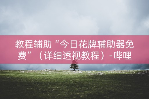 教程辅助“今日花牌辅助器免费”（详细透视教程）-哔哩哔哩