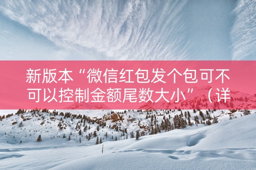 新版本“微信红包发个包可不可以控制金额尾数大小”（详细透视教程）-哔哩哔哩