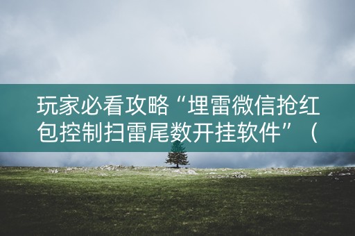 玩家必看攻略“埋雷微信抢红包控制扫雷尾数开挂软件”（详细透视教程）-哔哩哔哩