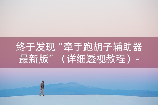 终于发现“牵手跑胡子辅助器最新版”（详细透视教程）-哔哩哔哩
