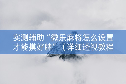 实测辅助“微乐麻将怎么设置才能摸好牌”（详细透视教程）-哔哩哔哩