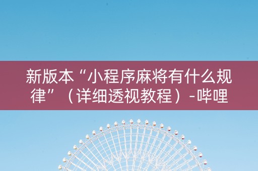 新版本“小程序麻将有什么规律”（详细透视教程）-哔哩哔哩