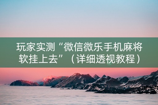 玩家实测“微信微乐手机麻将软挂上去”（详细透视教程）-哔哩哔哩