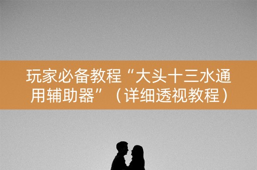 玩家必备教程“大头十三水通用辅助器”（详细透视教程）-哔哩哔哩