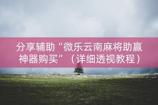 分享辅助“微乐云南麻将助赢神器购买”（详细透视教程）-哔哩哔哩