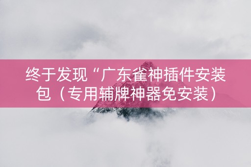 终于发现“广东雀神插件安装包（专用辅牌神器免安装）