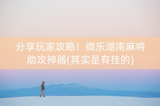 分享玩家攻略！微乐湖南麻将助攻神器(其实是有挂的)