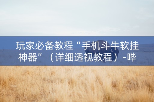 玩家必备教程“手机斗牛软挂神器”（详细透视教程）-哔哩哔哩