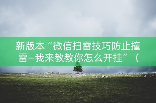 新版本“微信扫雷技巧防止撞雷—我来教教你怎么开挂”（详细透视教程）-哔哩哔哩