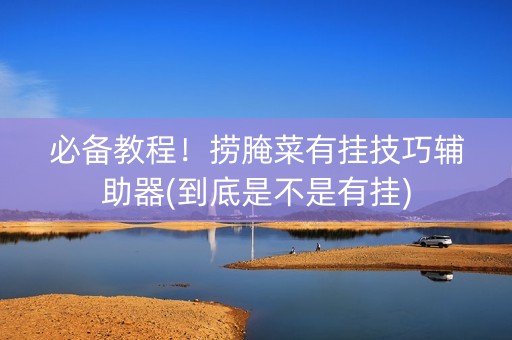 必备教程！捞腌菜有挂技巧辅助器(到底是不是有挂)