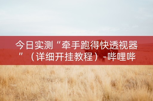 今日实测“牵手跑得快透视器”（详细开挂教程）-哔哩哔哩