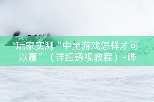 玩家实测“中至游戏怎样才可以赢”（详细透视教程）-哔哩哔哩