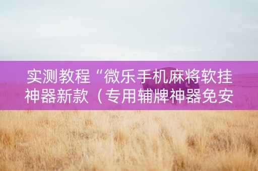 实测教程“微乐手机麻将软挂神器新款（专用辅牌神器免安装）