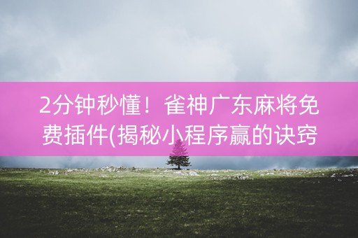 2分钟秒懂！雀神广东麻将免费插件(揭秘小程序赢的诀窍)
