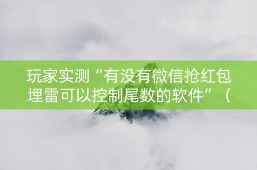 玩家实测“有没有微信抢红包埋雷可以控制尾数的软件”（详细透视教程）-哔哩哔哩