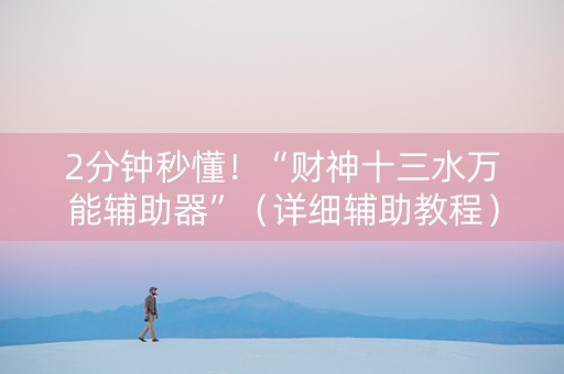 2分钟秒懂！“财神十三水万能辅助器”（详细辅助教程）-哔哩哔哩