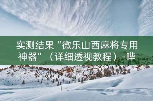 实测结果“微乐山西麻将专用神器”（详细透视教程）-哔哩哔哩