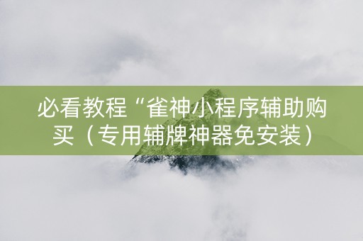 必看教程“雀神小程序辅助购买（专用辅牌神器免安装）