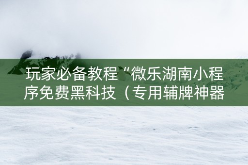 玩家必备教程“微乐湖南小程序免费黑科技（专用辅牌神器免安装）
