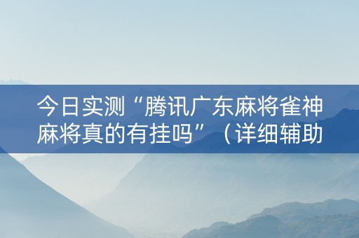 今日实测“腾讯广东麻将雀神麻将真的有挂吗”（详细辅助教程）-哔哩哔哩