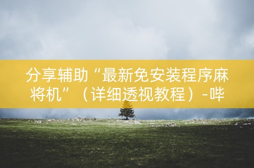 分享辅助“最新免安装程序麻将机”（详细透视教程）-哔哩哔哩