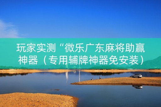 玩家实测“微乐广东麻将助赢神器（专用辅牌神器免安装）