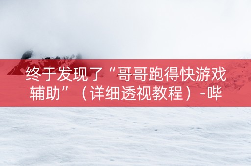 终于发现了“哥哥跑得快游戏辅助”（详细透视教程）-哔哩哔哩