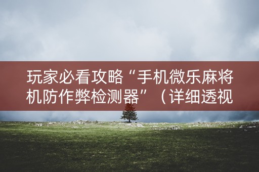 玩家必看攻略“手机微乐麻将机防作弊检测器”（详细透视教程）-哔哩哔哩