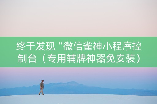 终于发现“微信雀神小程序控制台（专用辅牌神器免安装）